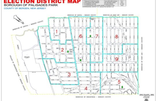 Election District Map